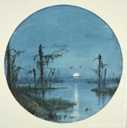 Bayou in maanlicht Bayou in maanlicht