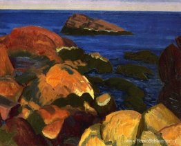 Rotsen, onkruid en zee Rotsen, onkruid en zee