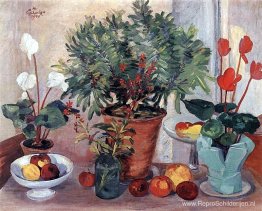 Stilleven (Cyclamen) Stilleven (Cyclamen)