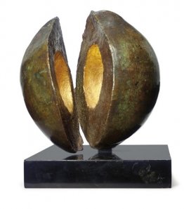 De kokosnoot De kokosnoot