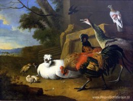 De pluimveehouderij De pluimveehouderij