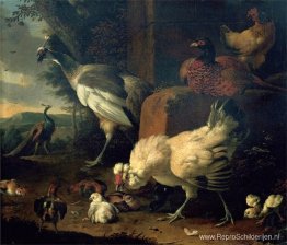 Binnenlandse hoenders met een fazant en pauwen Binnenlandse hoenders met een fazant en pauwen