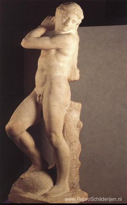 Apollo Apollo