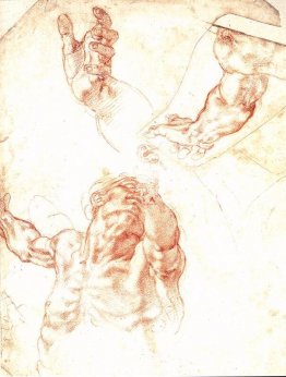 De studie van Adam De studie van Adam