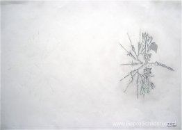 IMG-6126 IMG-6126