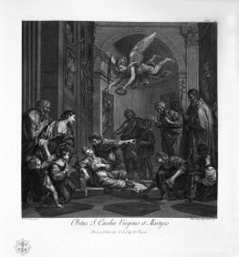 Galatea Galatea