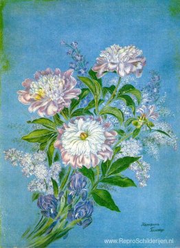 Pioenrozen Pioenrozen