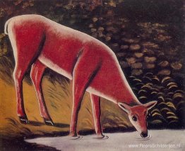 Reeën bij een kreek Reeën bij een kreek