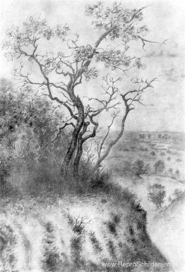 Op de klif Op de klif