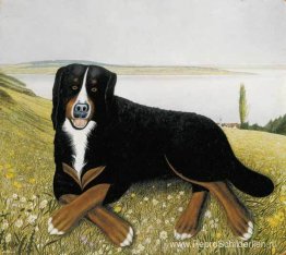 Balbo liggend op het gazon Balbo liggend op het gazon