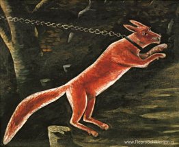 Vos aan ketting Vos aan ketting