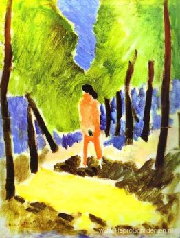 Naakt in zonovergoten landschap Naakt in zonovergoten landschap