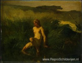 De zwemmer De zwemmer