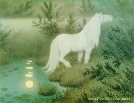 Noeken als wit paard Noeken als wit paard