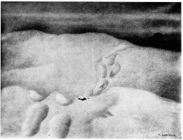 Haa Var Detta voor Nokko Haa Var Detta voor Nokko