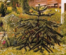 The Monkey Puzzle, Whitehouse, Noord-Ierland The Monkey Puzzle, Whitehouse, Noord-Ierland