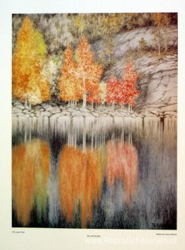 Aspen Blauw Aspen Blauw