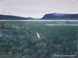 De 12 wilde eenden 12 villender De 12 wilde eenden 12 villender