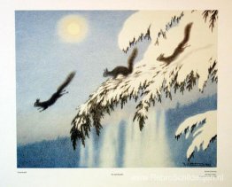 Eekhoorn tijdens de vlucht Eekhoorn tijdens de vlucht