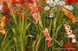 Tuinstudie Tuinstudie