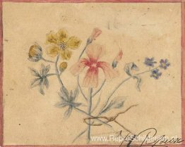 Studie van bloemen Studie van bloemen