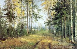 De weg naar het bos De weg naar het bos