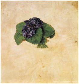 Violet boeket Violet boeket