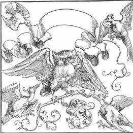 De uil in gevecht met andere vogels De uil in gevecht met andere vogels