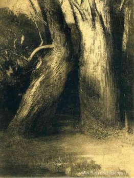Twee bomen Twee bomen