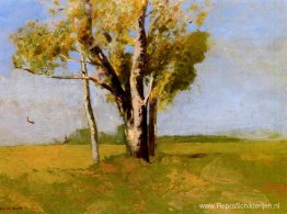 Bomen Bomen