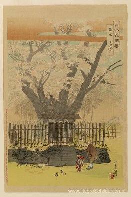 Nihon do zue Nihon do zue