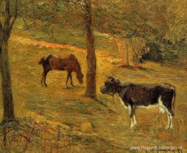 Paard en koe in een weide Paard en koe in een weide