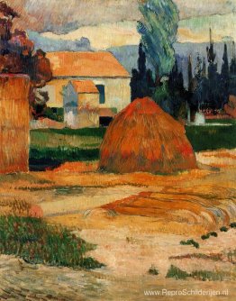 Landschap nabij Arles Landschap nabij Arles