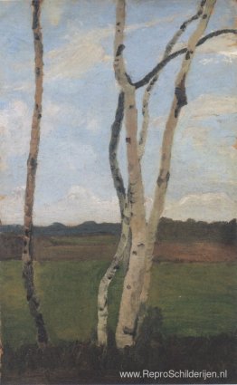 Landschap met berkenstammen Landschap met berkenstammen