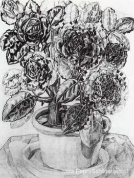 Bloemen Bloemen
