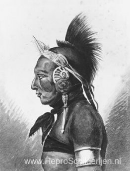 Een Osage-krijger Een Osage-krijger