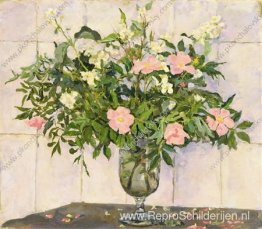 Stilleven. Jasmine en hond stonden op bij het fornuis. Stilleven. Jasmine en hond stonden op bij het fornuis.