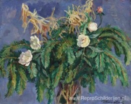 Stilleven. Pioenen en sparren takken. Stilleven. Pioenen en sparren takken.