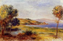 De baai De baai