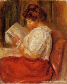 De kleine lezer De kleine lezer