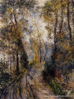 Het pad door het bos Het pad door het bos