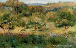 De rand van het bos in Bretagne De rand van het bos in Bretagne