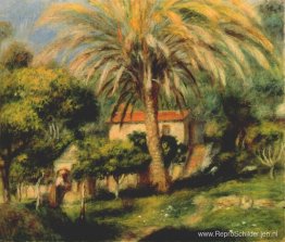 De palmboom De palmboom