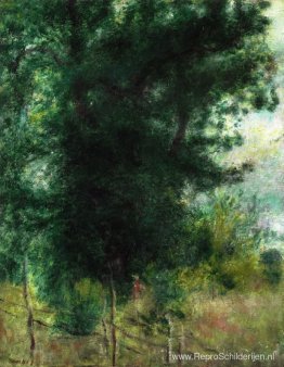 Een hek in het bos Een hek in het bos