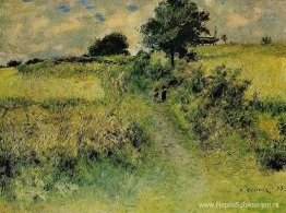 Het veld Het veld