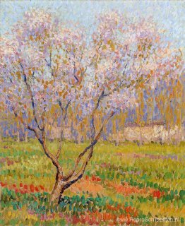 Bomen in bloei Bomen in bloei