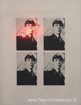 Relatie tussen esthetische keuze en levensactiviteit (functie va Relatie tussen esthetische keuze en levensactiviteit (functie va