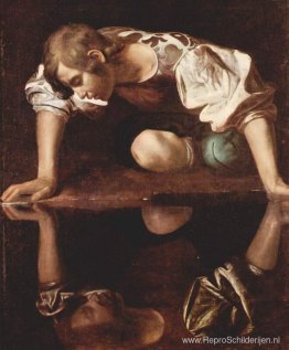 Narcissen Narcissen
