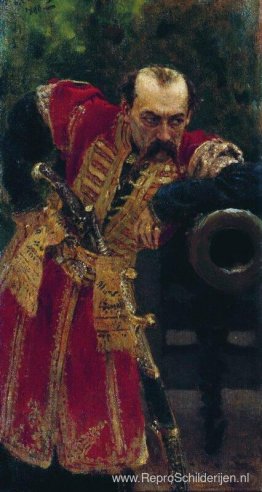 Zaporizja kolonel Zaporizja kolonel