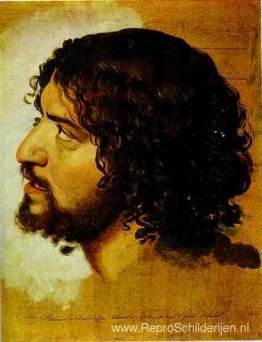 Een hoofd van een jonge man Een hoofd van een jonge man